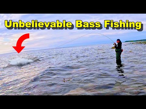 Видео: МОРСКАЯ РЫБАЛКА В ШОТЛАНДИИ Новое место для ловли ОГРОМНОГО морского окуня!!!