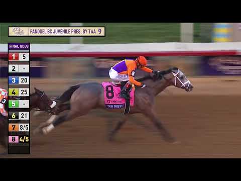 Видео: Тед Ноффи побеждает в гонке BC Juvenile G.I. 9 в Дел Мар 31 октября 2025 года.