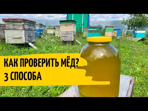 Видео: Как проверить густой мёд? Три способа проверки мёда в домашних условиях Пасека Гатуповых