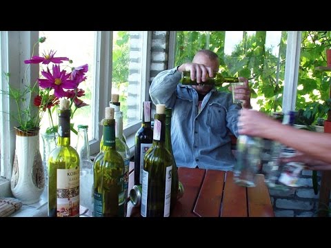 Видео: Что делать в пьющем коллективе, если ты не пьешь