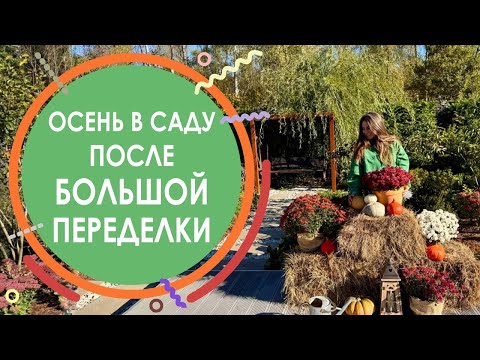 Видео: Осень в саду после большой переделки
