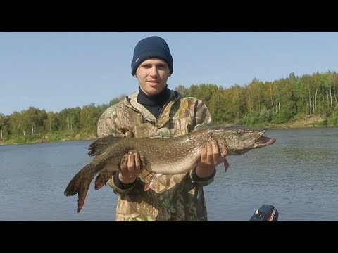 Видео: Отличная рыбалка на щуку по таежной реке