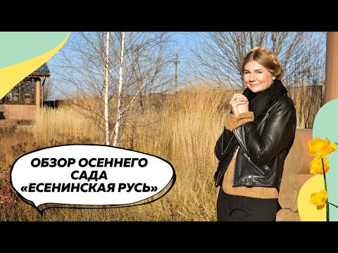 Видео: Обзор сада осенью в Константиново | Сад в природном стиле | Боярышник | Злаки | Ольха | Шиповник