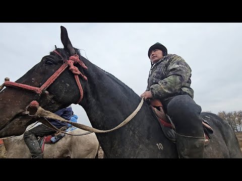 Видео: 87 лер жарым финалда👆💥💥💥