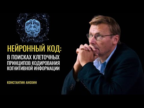 Видео: «Нейронный код». Константин Анохин
