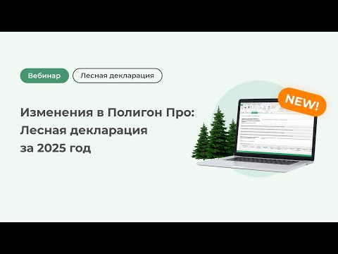 Видео: Изменения в Полигон Про: Лесная декларация за 2025 год