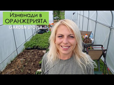 Видео: От ПОДРЕДБА на ОРАНЖЕРИИТЕ до неприятни ИЗНЕНАДИ