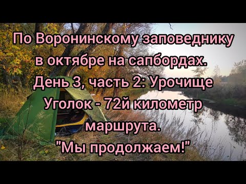 Видео: На сапбордах в октябре по Воронинскому заповеднику. День 3, часть 2. "Мы продолжаем!".