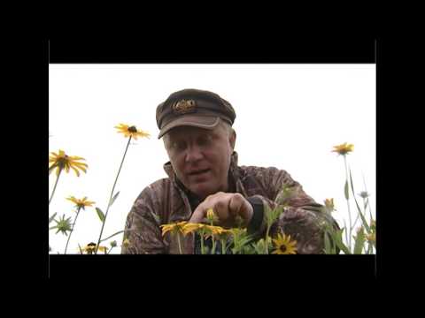 Видео: Приморье with love о. Рейнеке