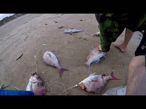 Видео: Волшебный контик, установленный на севере - ряд застежек-защелок длиной 45-50 см