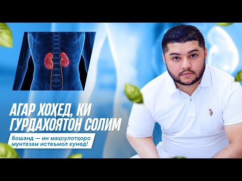 Видео: Топ 6 маҳсулоти арзон барои солимии гурдаҳо!