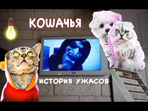 Видео: КОШАЧЬЯ ИСТОРИЯ УЖАСОВ | НЕ ОСТАВЛЯЙ КЛЮЧИ СОСЕДЯМ | Кевин, Билли, Ариела и Сладун одни дома НОЧЬЮ