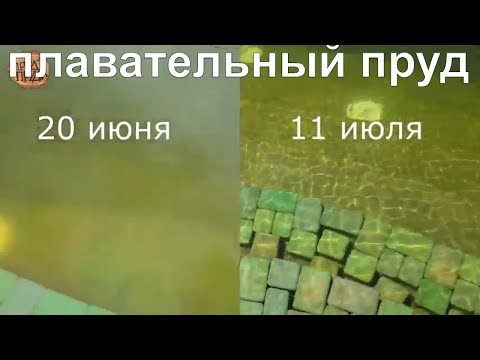 Видео: Плавательный пруд с биоплато//Прозрачная вода в пруду