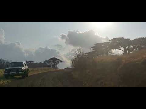 Видео: Итуруп