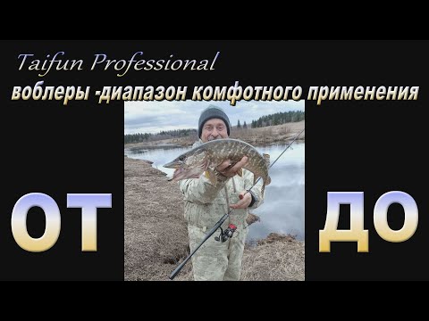 Видео: Taifun Professional -испытания воблерами