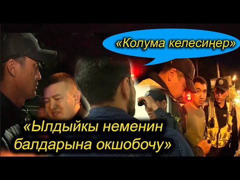 Видео: "Мен айдоочу эмесмин, далил көрсөт" / Айдоочулук күбөлүгүм жолдо келе жатат, 2 мүнөт күт!