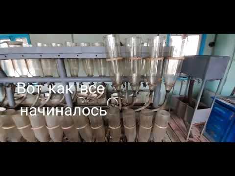 Видео: СТАРЫЙ ИНКУБАТОР ***  Ремонт стойки под аппараты ВЕЙСА *** АИСТ гуляет возле меня!!!