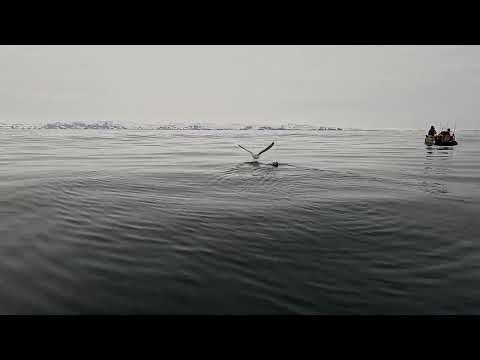 Видео: Вот и поговорили. So we talked.