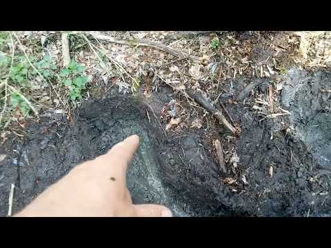 Видео: Открываю родники на ЭКО тропе