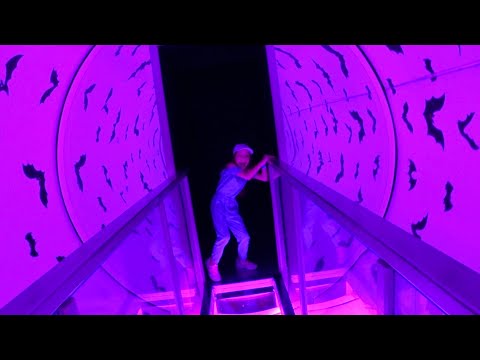 Видео: Самое Странное Место Влог 24 ЧАСА с Первым Каналом / Вики Шоу