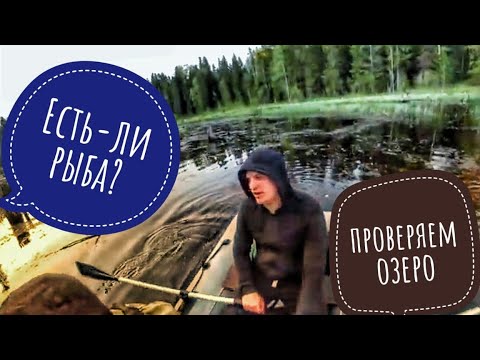 Видео: Озеро в лесу гатчинского района. Рыбалка на новом месте. #рыбалкавгатчине #рыбалканажерлицы