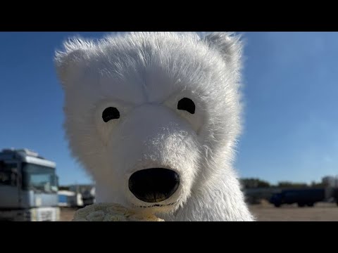 Видео: Поздравление с днем рождения!