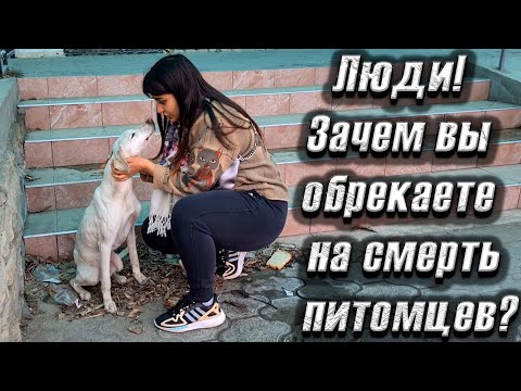 Видео: Мы увидели трясущегося СКЕЛЕТА😱 потом он укусил Валеру и его положили в больницу😔
