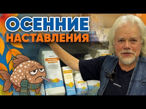 Видео: Аквариумные истории из ЭКЗОМЕНЮ (03.10.2025). Осенние наставления.