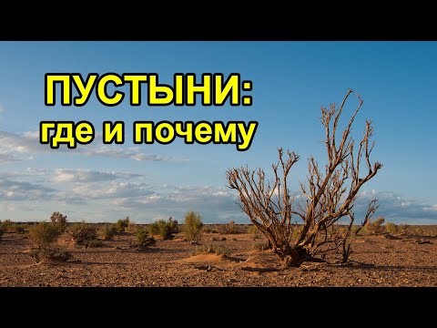 Видео: Пустыни: где и почему