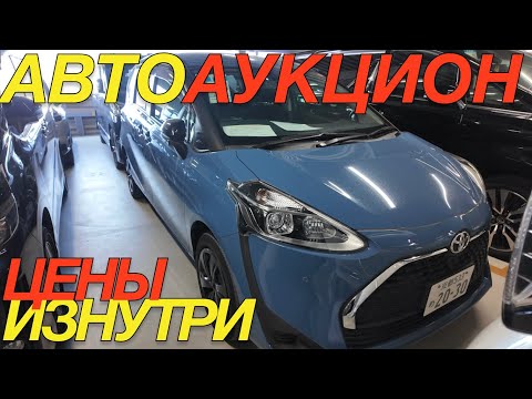 Видео: УТИЛЬ СБОР ВВОДЯТ, НО НАРОДНЫЕ АВТО КУПИТЬ МОЖНО TOYOTA TANK COROLLA SIENTA RACTIS