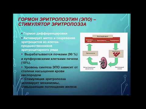 Видео: Метаболизм железа. Лабораторная диагностика его нарушений
