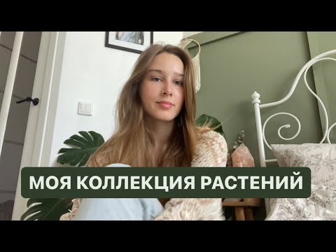 Видео: МОЯ КОЛЛЕКЦИЯ РАСТЕНИЙ! 🌿 Растения с Авито