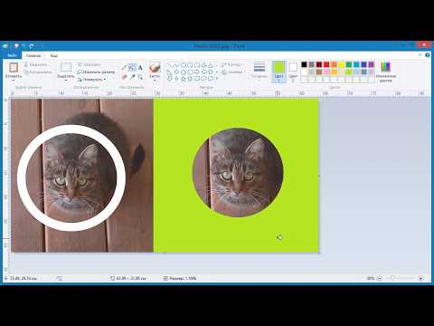 Видео: Как в Paint обрезать фото кругом