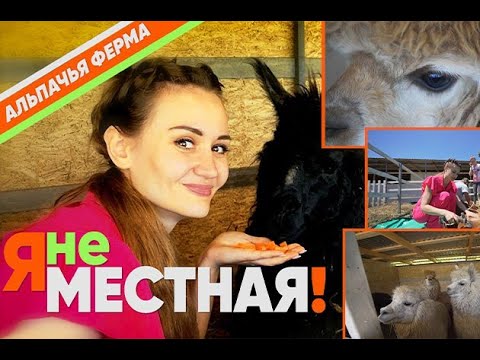 Видео: Я не местная. Станица Темнолесская