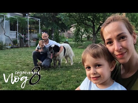 Видео: Едно семейство на село - Vlog 8 - на раздумка и разходка из наше село