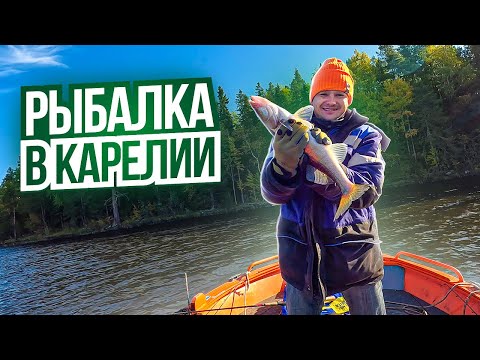 Видео: У нас УГНАЛИ КАТЕР😱 Рыбалка на Водлозере в Карелии 2023🔥   Без связи на острове. Рыбы полно!