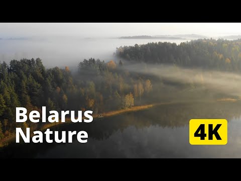 Видео: Беларуская природа с дрона