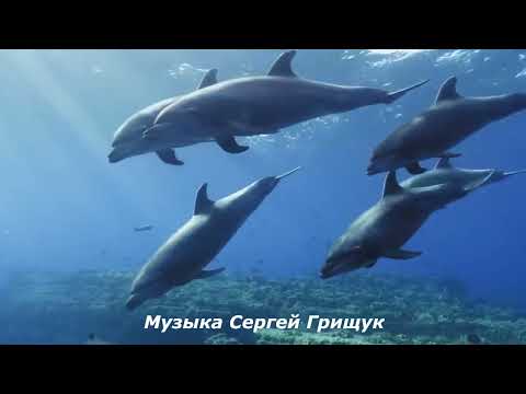 Видео: Коллекция красивой инструментальной музыки для успокоения и внутренней гармонии   #КРАСИВАЯМУЗЫКА