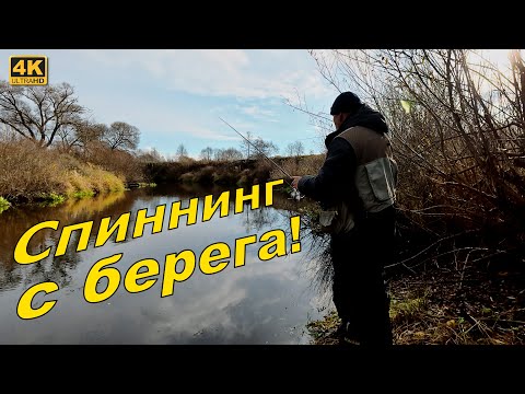 Видео: Рыбалка на спиннинг с берега. Малые реки Смоленской области