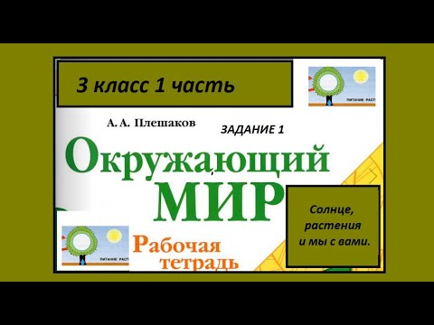 Видео: Солнце, растения и мы с вами 1 задание. Окружающий мир 3 класс рабочая тетрадь. Модели