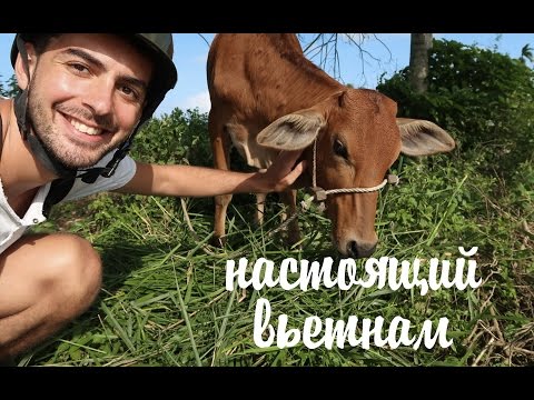 Видео: НАСТОЯЩИЙ ВЬЕТНАМ. ПРЕКРАСНЫЙ ХОЙАН