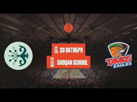 Видео: Shoqan Basket — Tamos Eagles | 4 категория | Школьная Лига «Дай Мяч!» Алматы