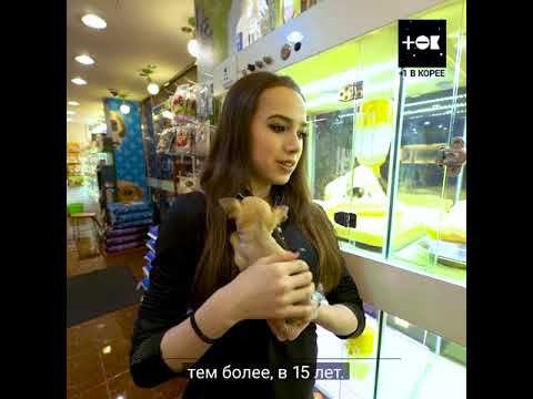 Видео: Алина Загитова, Рита Мамун и щеночки/ Alina Zagitova Rita Mamun