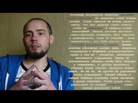 Видео: Как мужчине стать умным? (тестостерон и доминирование)
