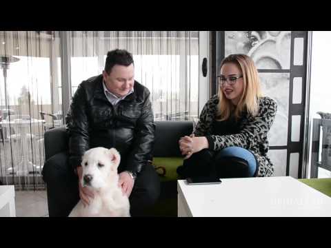 Видео: ПРИЈАТЕЛИ емисија за миленичиња -  Стефан - Алабаи