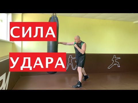 Видео: Школа бокса Виктора Кулика / Сила удара