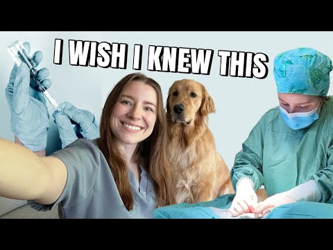 Видео: ПРАВДА О ПРОФЕССИИ ВЕТЕРИНАРА: 5 вещей, которые я узнала за первый год работы выпускником ветерин...