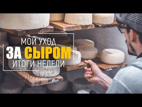 Видео: Как я ухаживаю за сыром | Аффинаж сыра (часть 3)