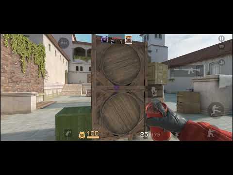 Видео: 3 ноября 2025 г.