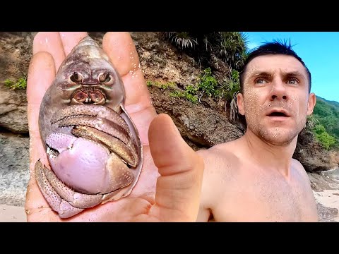 Видео: Выживание на необитаемом острове. Улитка Мутант. Ловля Крабов руками ночью. №8